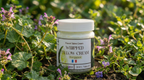 Tallow Balm Bergamot