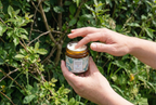 Talgbalsam Eukalyptus – Braunglastiegel